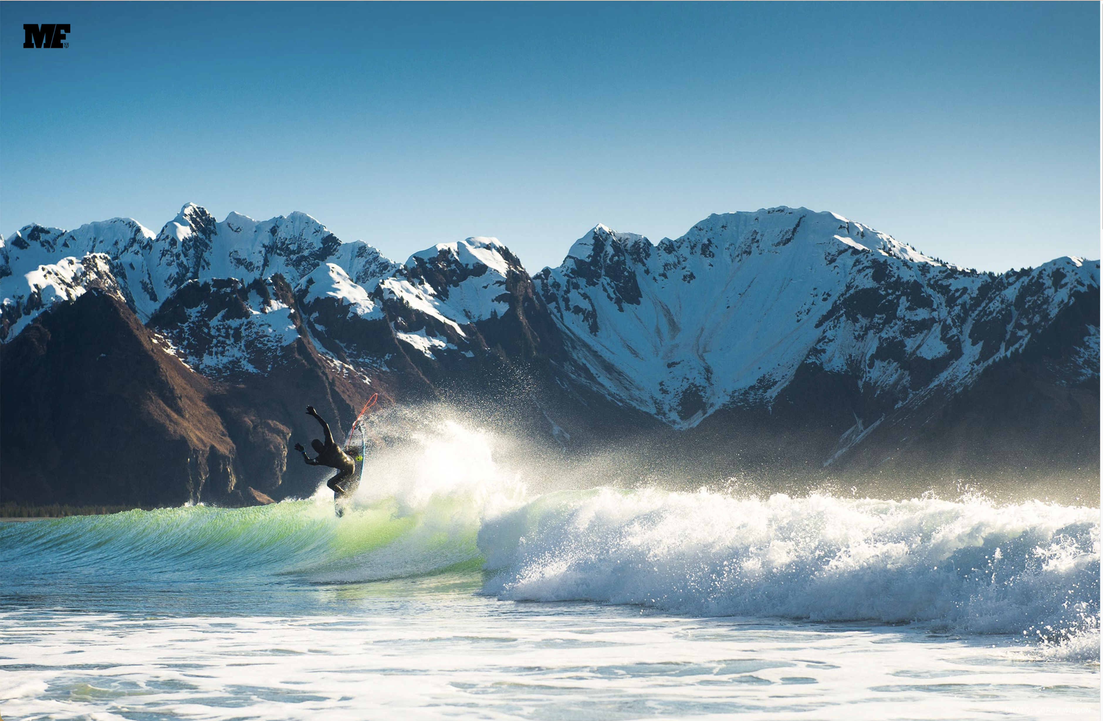 Mick Fanning hero